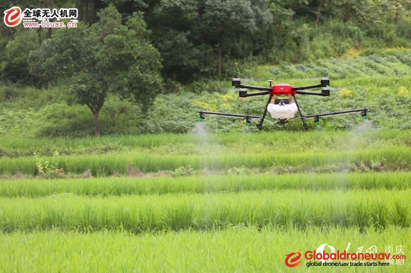 BaNan District: UAVs Free Spray Pesticides for Poor and Disabled Farmers