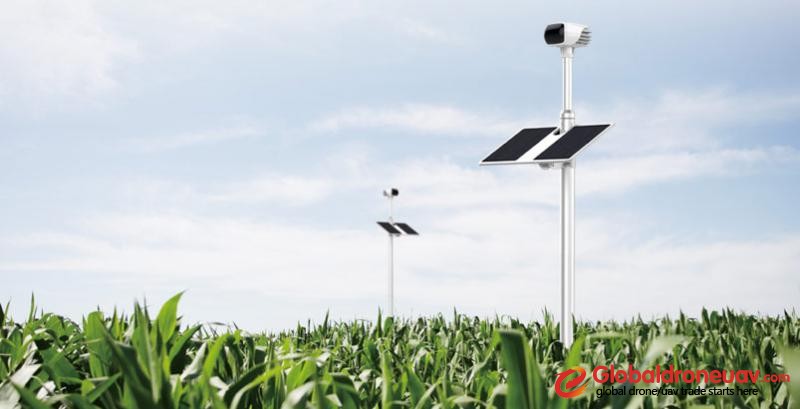 XAG Technology Co-founder Gong Jiaqin: A New Way for Future Agriculture