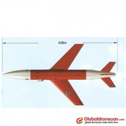 Wofei FH300A (Unmanned Target Drone)